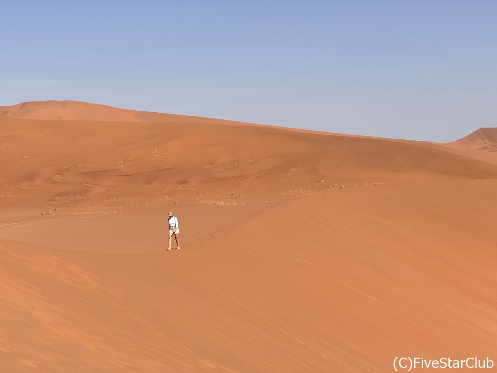 ナミブ砂漠で一生忘れられない、美しい絶景を全身で感じよう