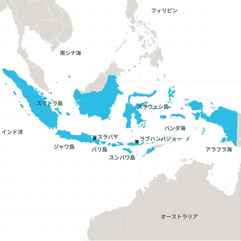 インドネシア バリ島 観光 旅行 ツアー ファイブスタークラブ